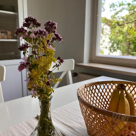 Apartment Am Kirschbaum