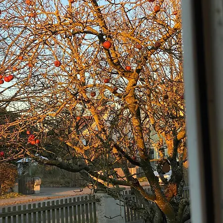 Am Kirschbaum * Hilpoltstein