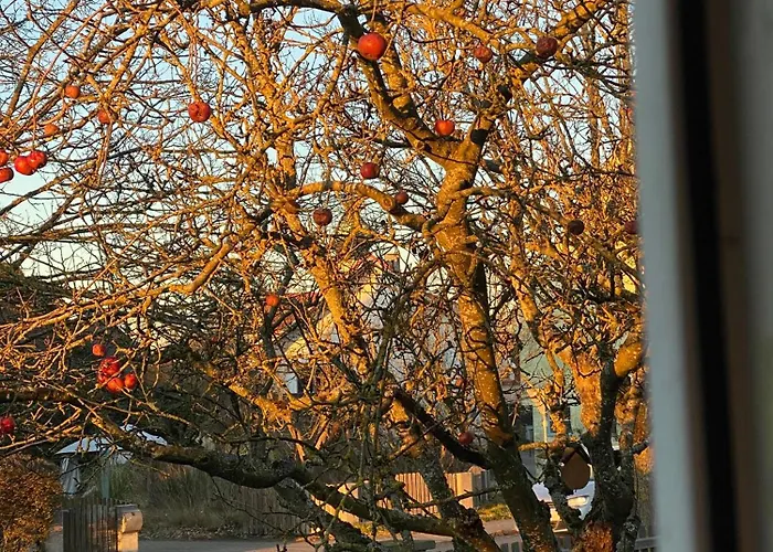 Am Kirschbaum * Hilpoltstein